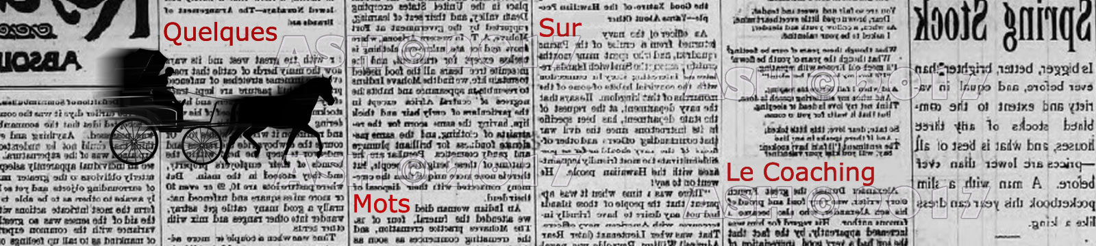 Mots sur le coaching ©Alexandre Shvaloff Mots sur le coaching ©Alexandre Shvaloff