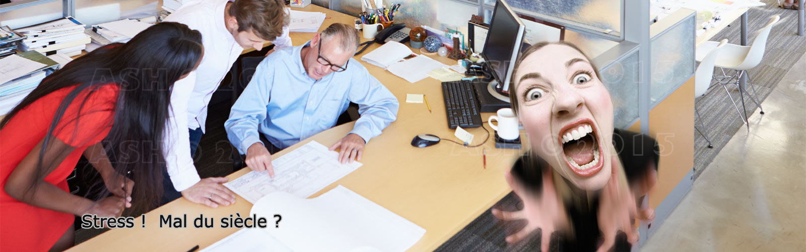 Traitement Stress chez Coachin des Cadres ©Alexandre Shvaloff Traitement Stress chez Coachin des Cadres ©Alexandre Shvaloff